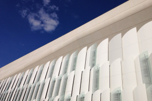 la première étape de pose des écailles a été terminée - 1