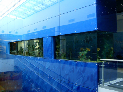 Aquarium, Galérie Nové Butovice