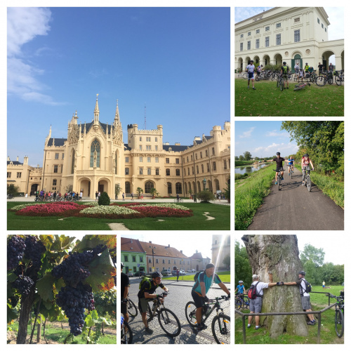 Image: Les employés de Sipral se sont rendus à Valtice en vélo